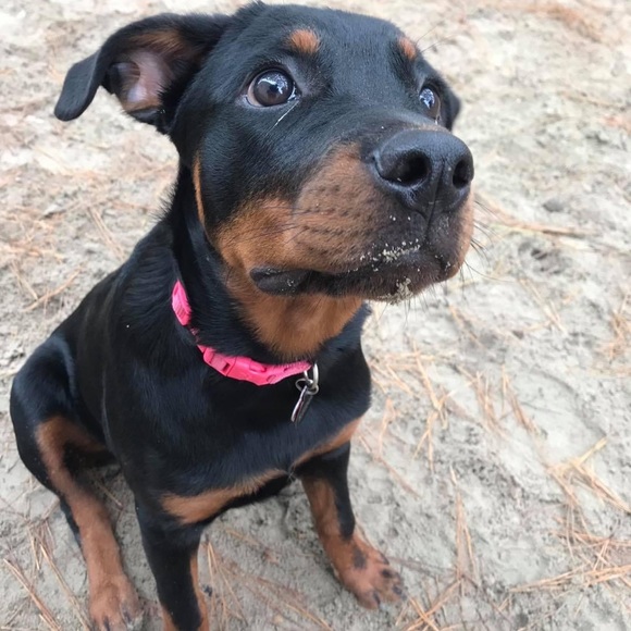 Meet your Posher, Cailin - Picture 2 of 3